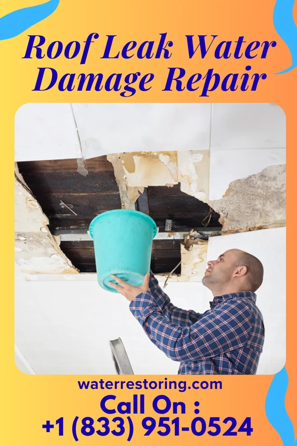 Roof Leak Water Damage Repair in Postville, IA
