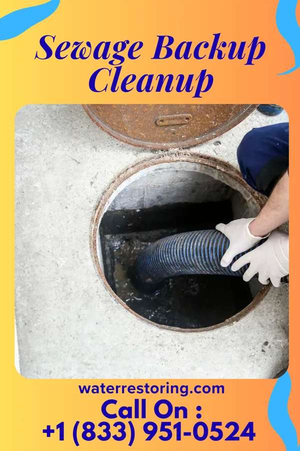 Sewage Backup Cleanup in Postville, IA